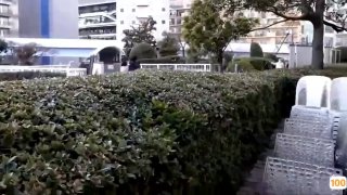 5月份造车新势力, 没有什么洗牌, 局势开始稳定起来了: